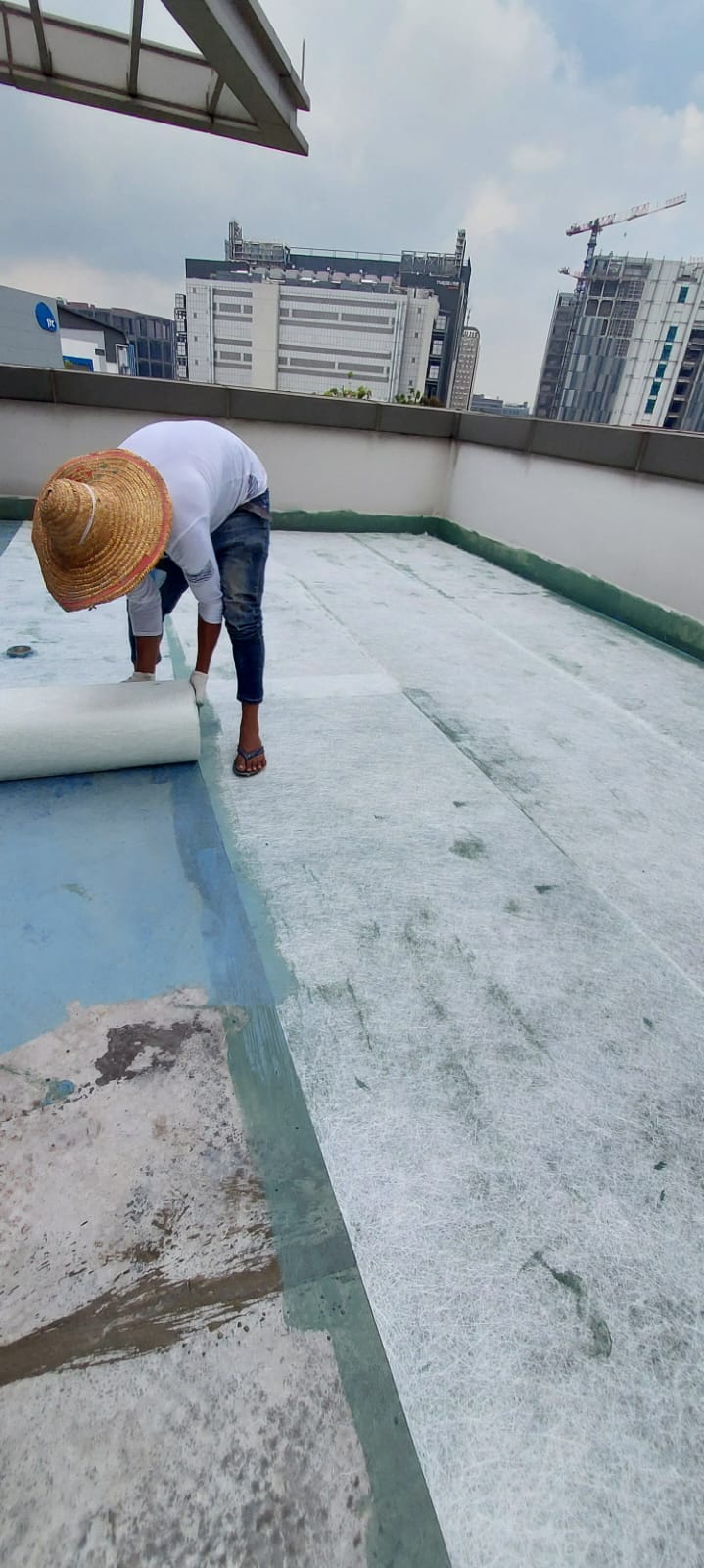 WhatsApp Image 2026-01-19 at 4.33.56 PM (1)