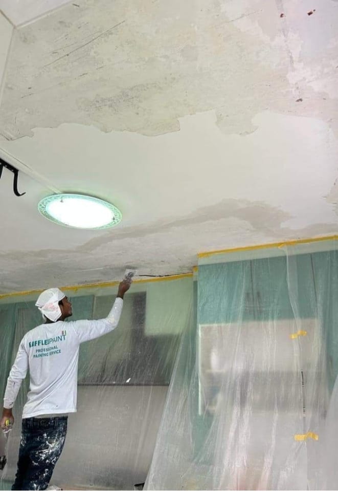 WhatsApp Image 2026-02-10 at 1.02.53 PM