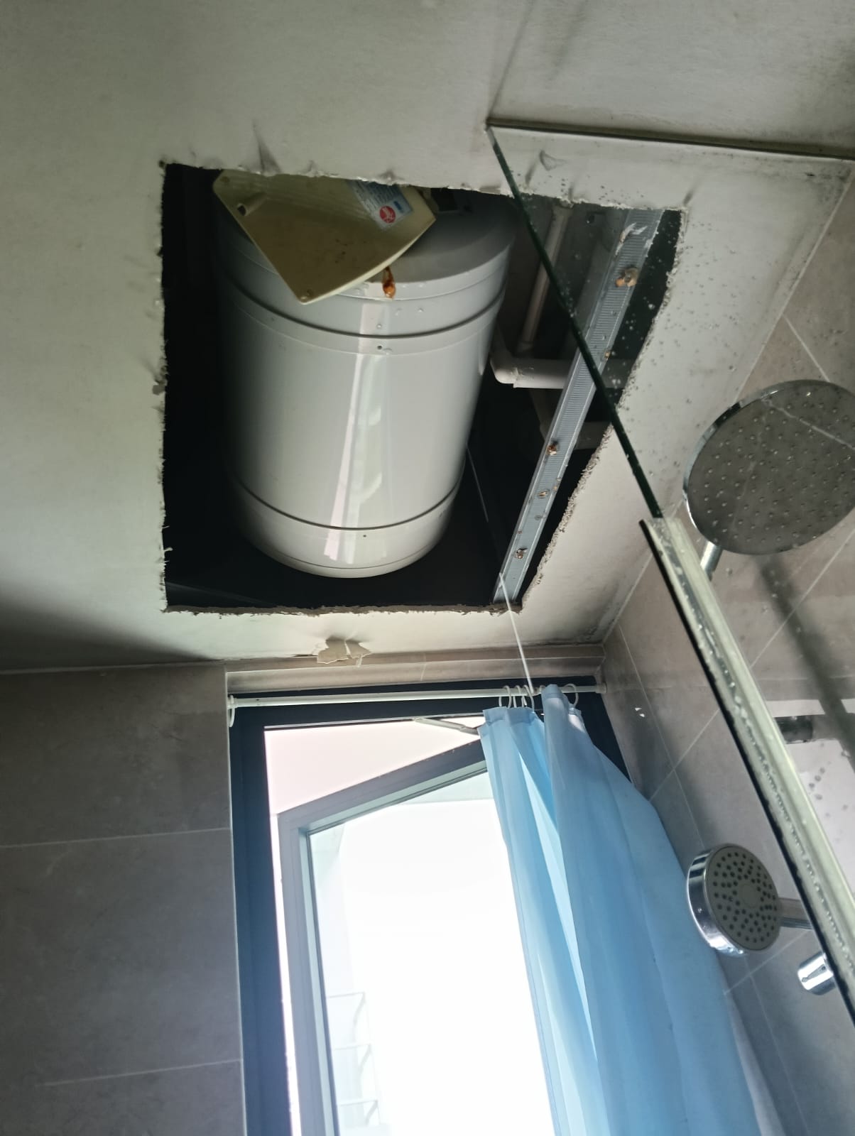 WhatsApp Image 2026-02-10 at 12.42.50 PM